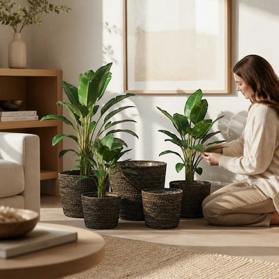 Nour Home 5'li doğal deniz sazı saksı seti, siyah pamuk detaylı, su geçirmez astarlı, modern bohem dekoratif sepetler.